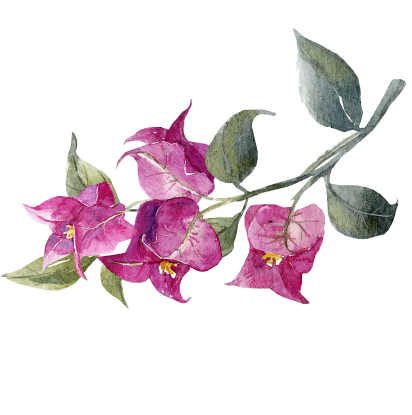 Bougain Restaurant & Garden Bar