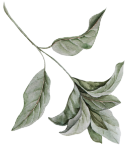 Bougain Restaurant & Garden Bar