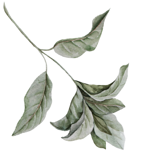 Bougain Restaurant & Garden Bar