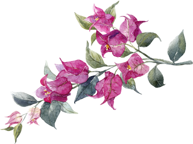 Bougain Restaurant & Garden Bar