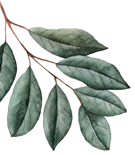 Bougain Restaurant & Garden Bar