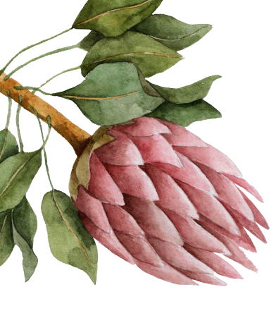 Bougain Restaurant & Garden Bar