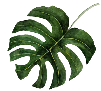 Bougain Restaurant & Garden Bar